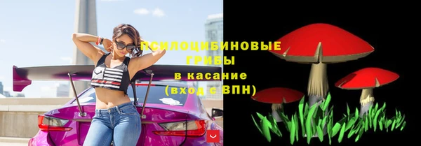 тгк Алексин