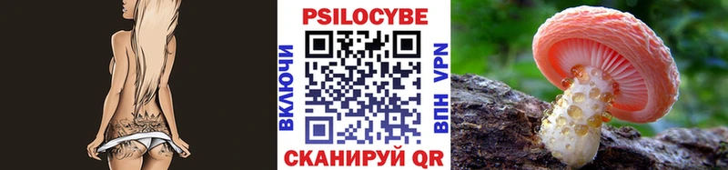 купить  цена  Щигры  Галлюциногенные грибы ЛСД 